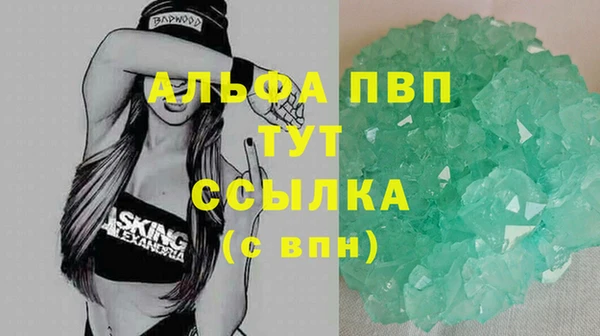 винт Аркадак
