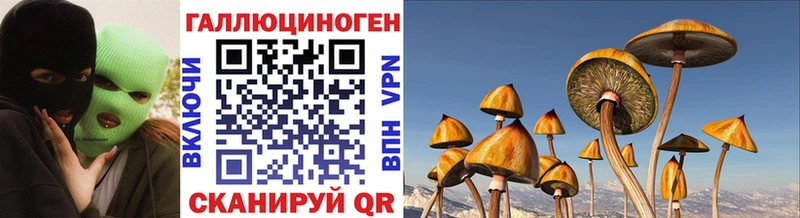 Псилоцибиновые грибы мухоморы  Покров 